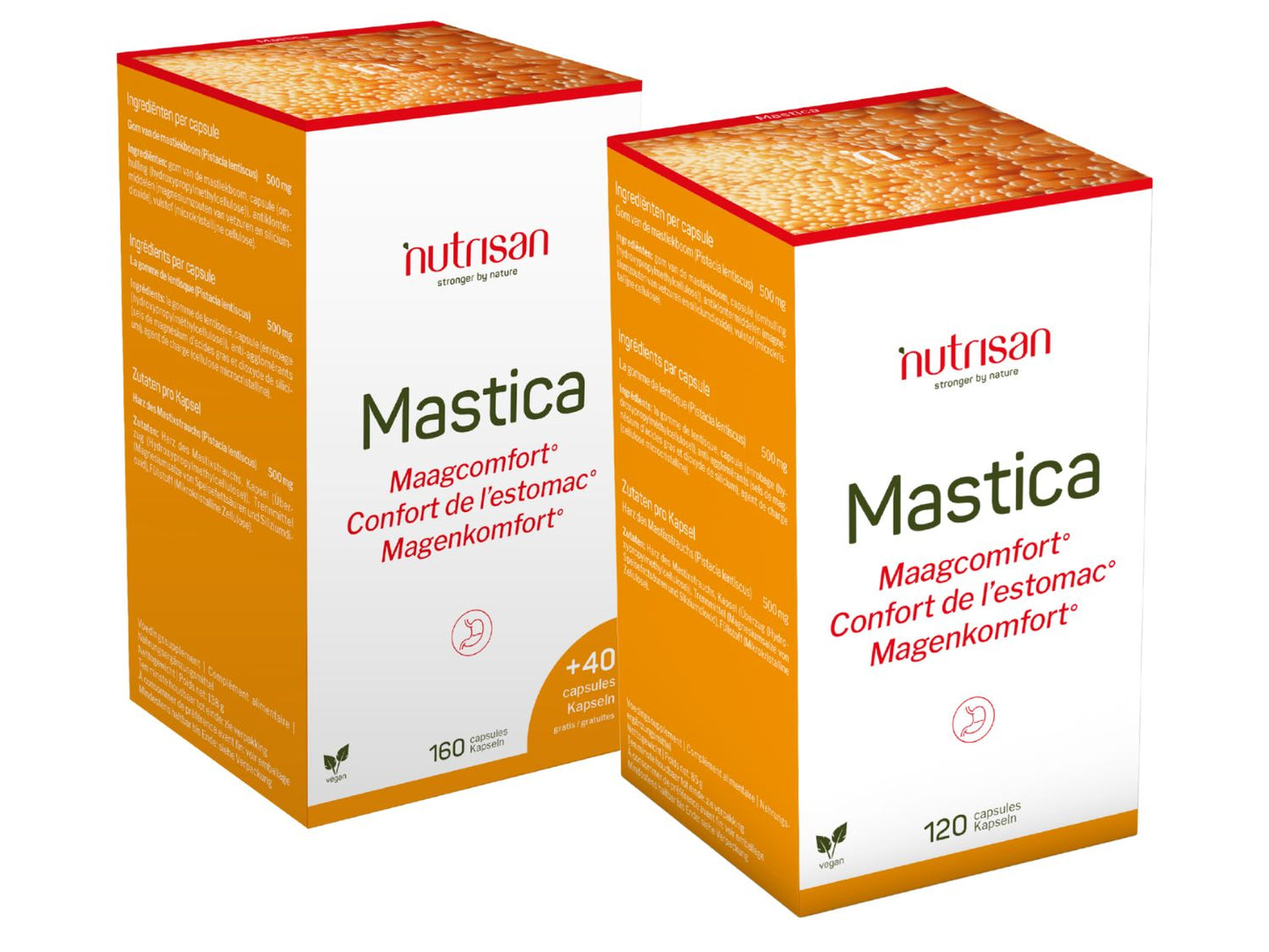 Mastica