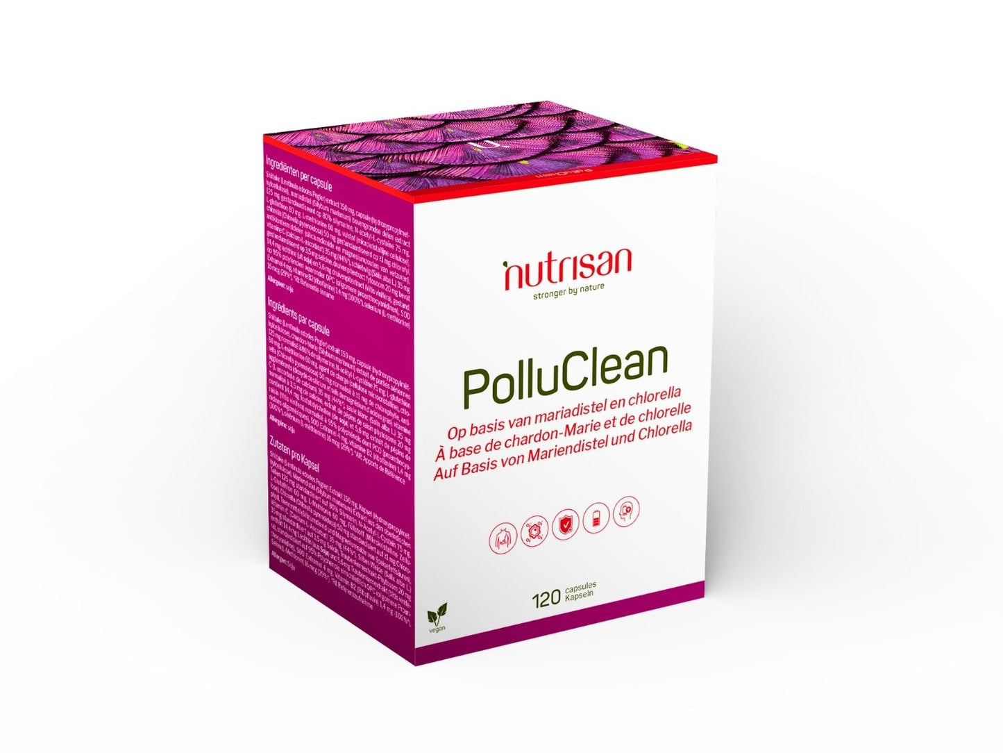 PolluClean